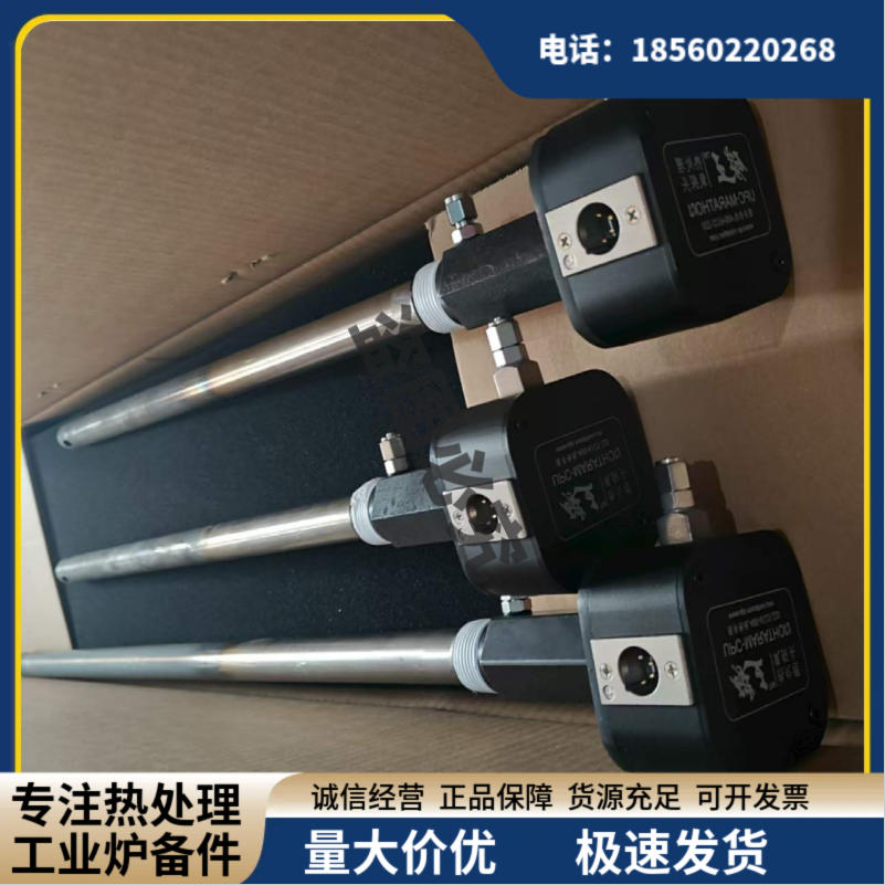 碳王氧探头 工业炉用传感器